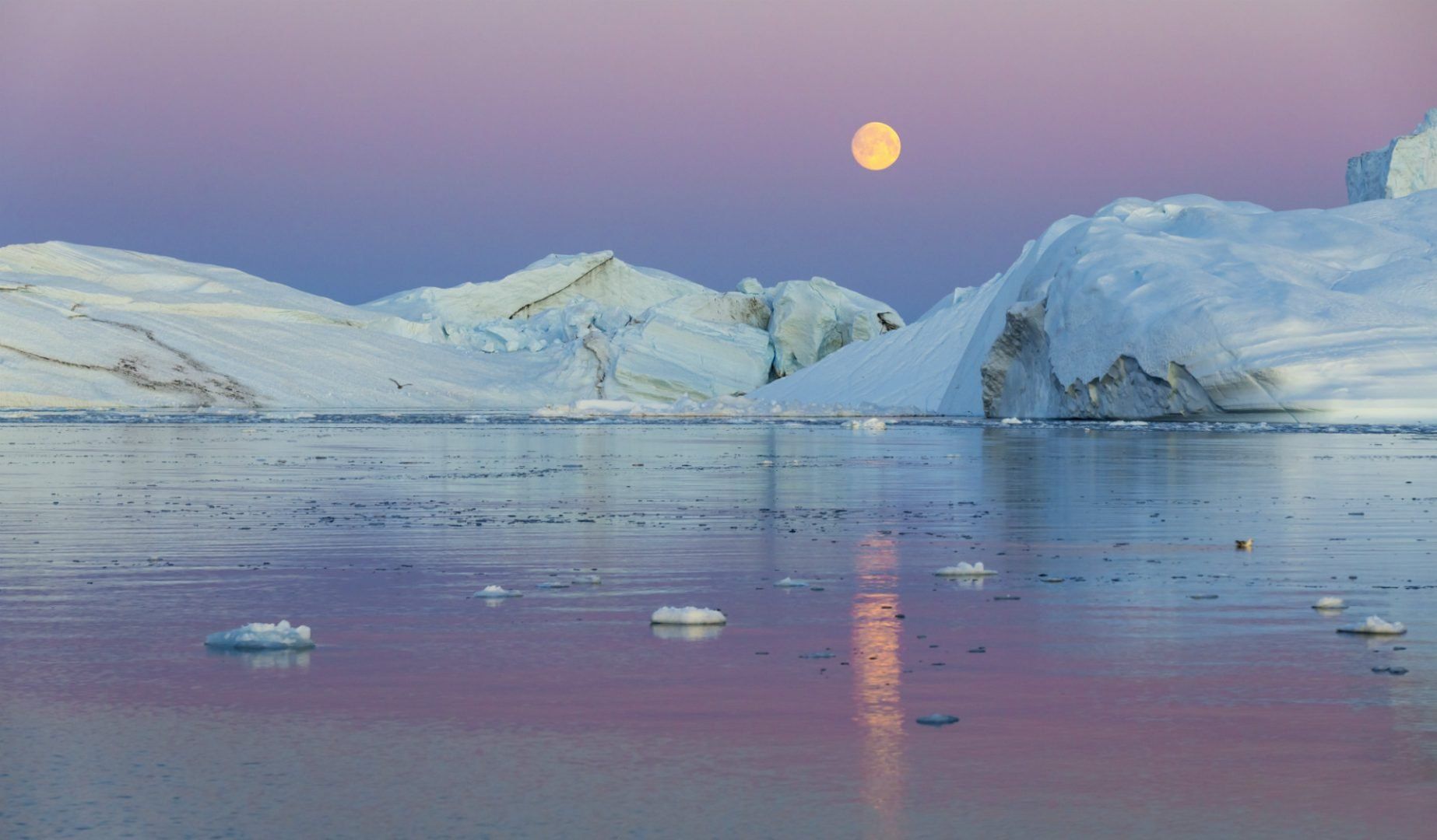 greenland-shutterstock_377351299