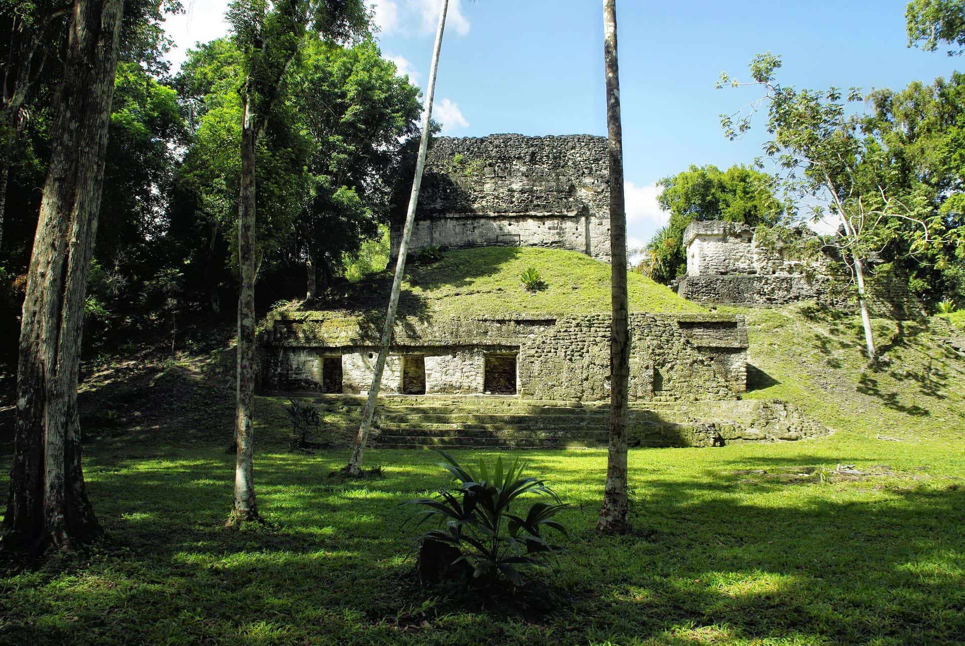 Tikal