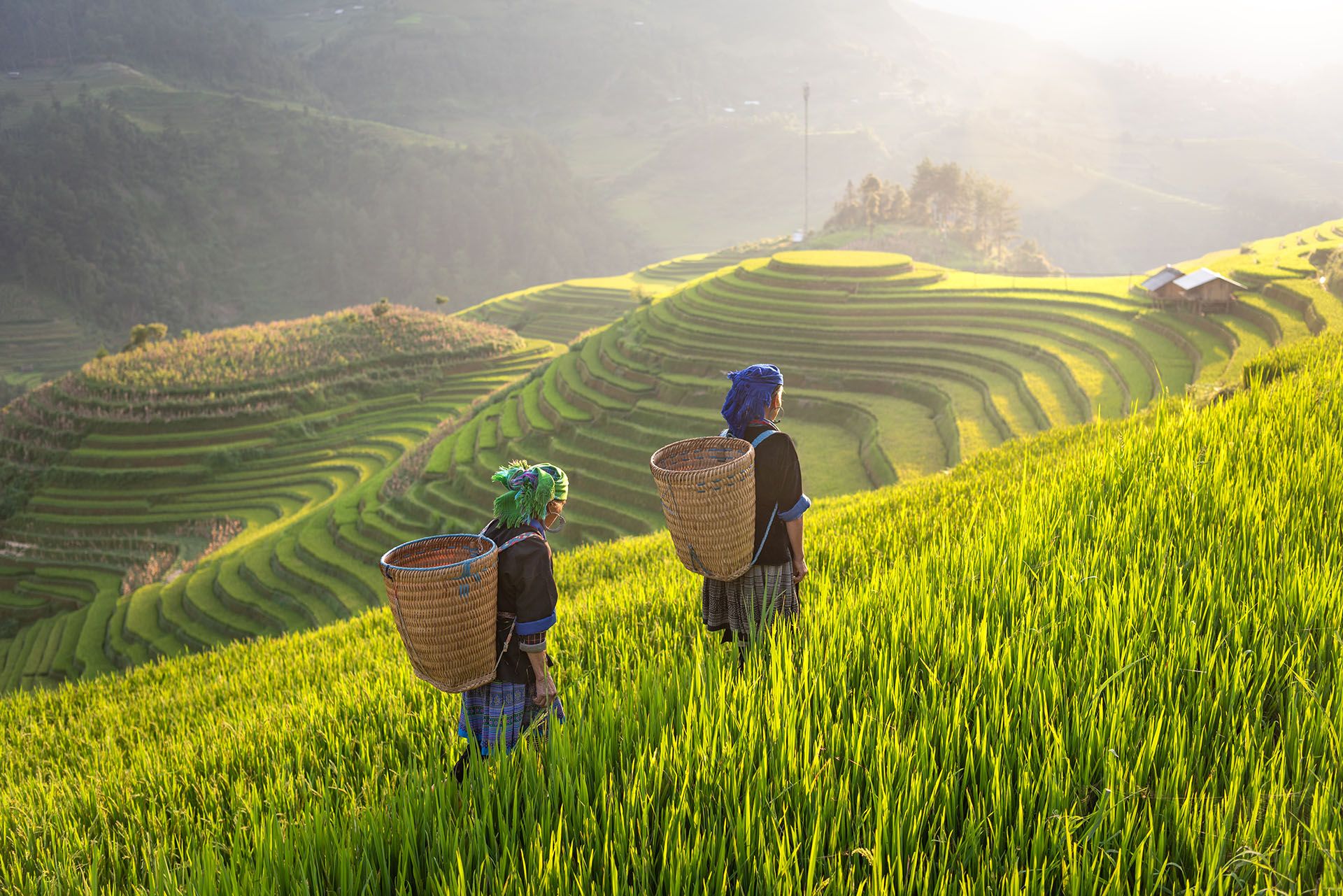 Hmong ethnic minority women in Mu Cang Chai, Yen Bai, Vietnam © Chachamp/Shutterstock