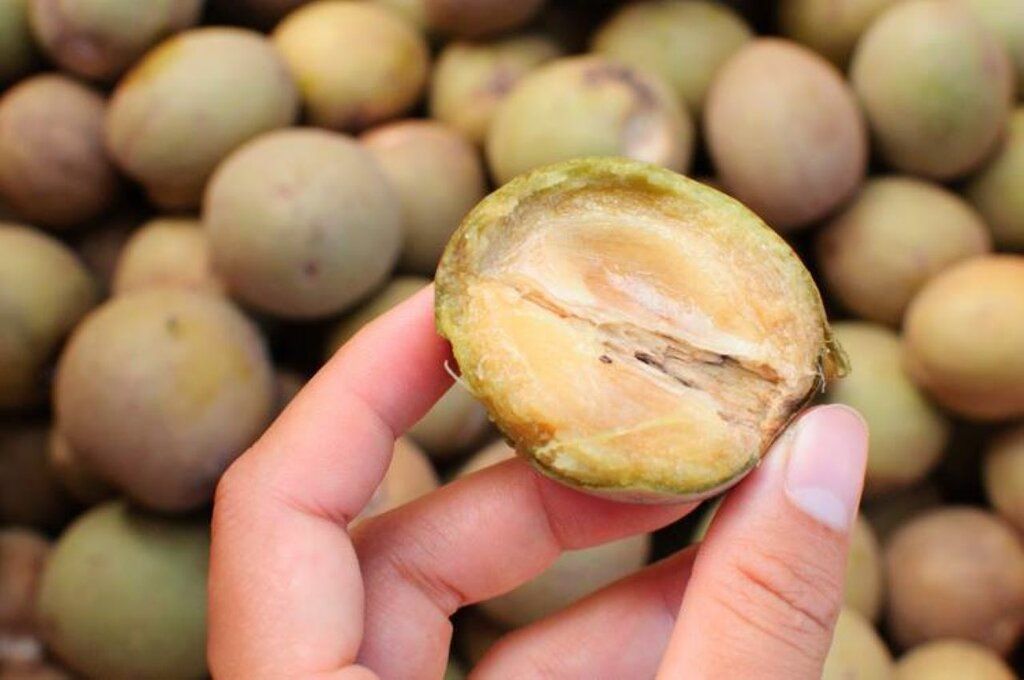 farm to table cooking class