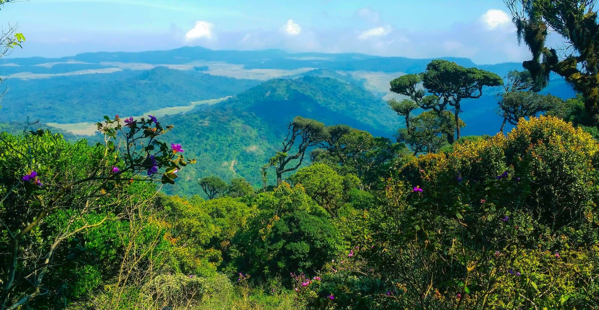 Horton plains national park