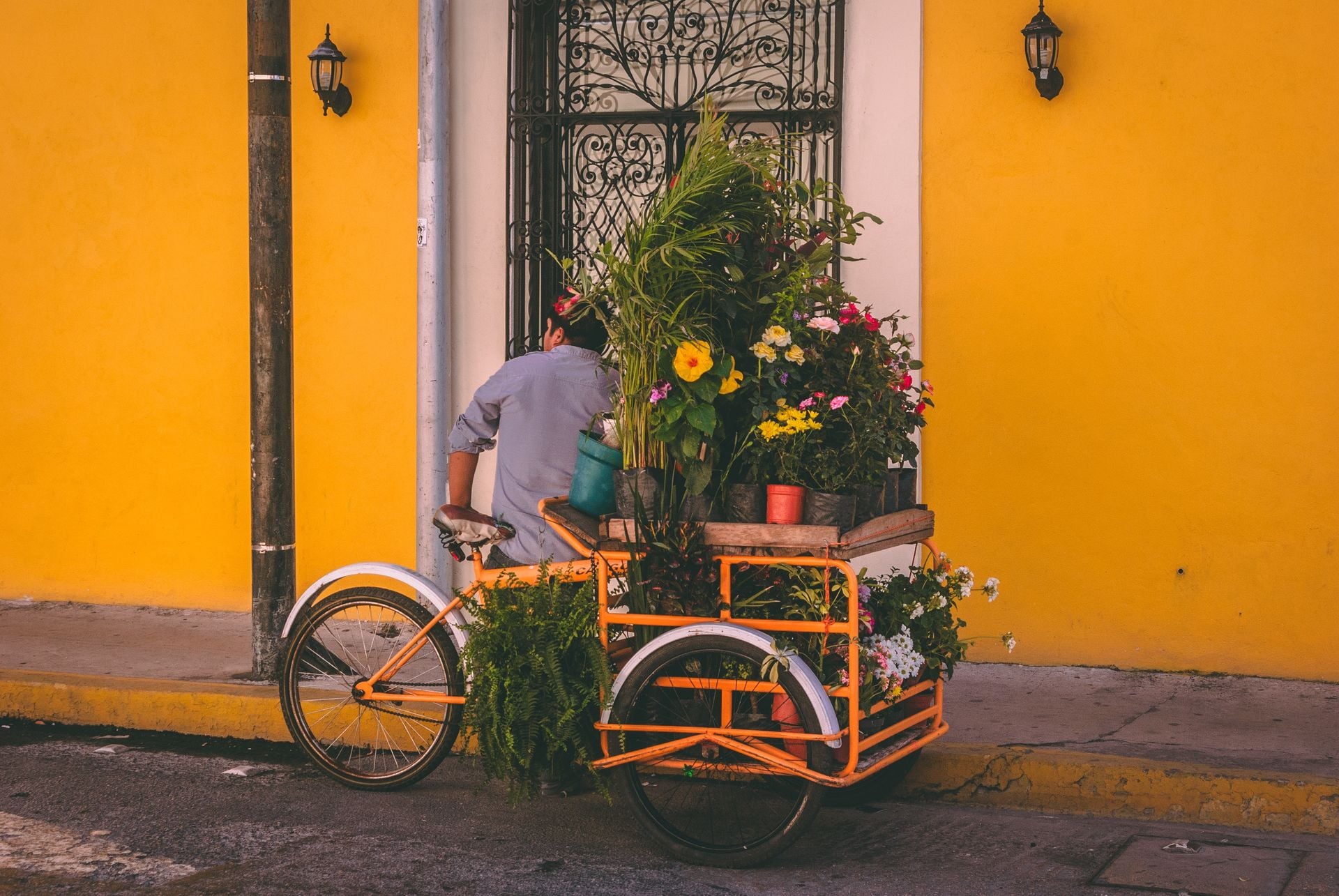 Flowers in a Tricycle, Yucatan