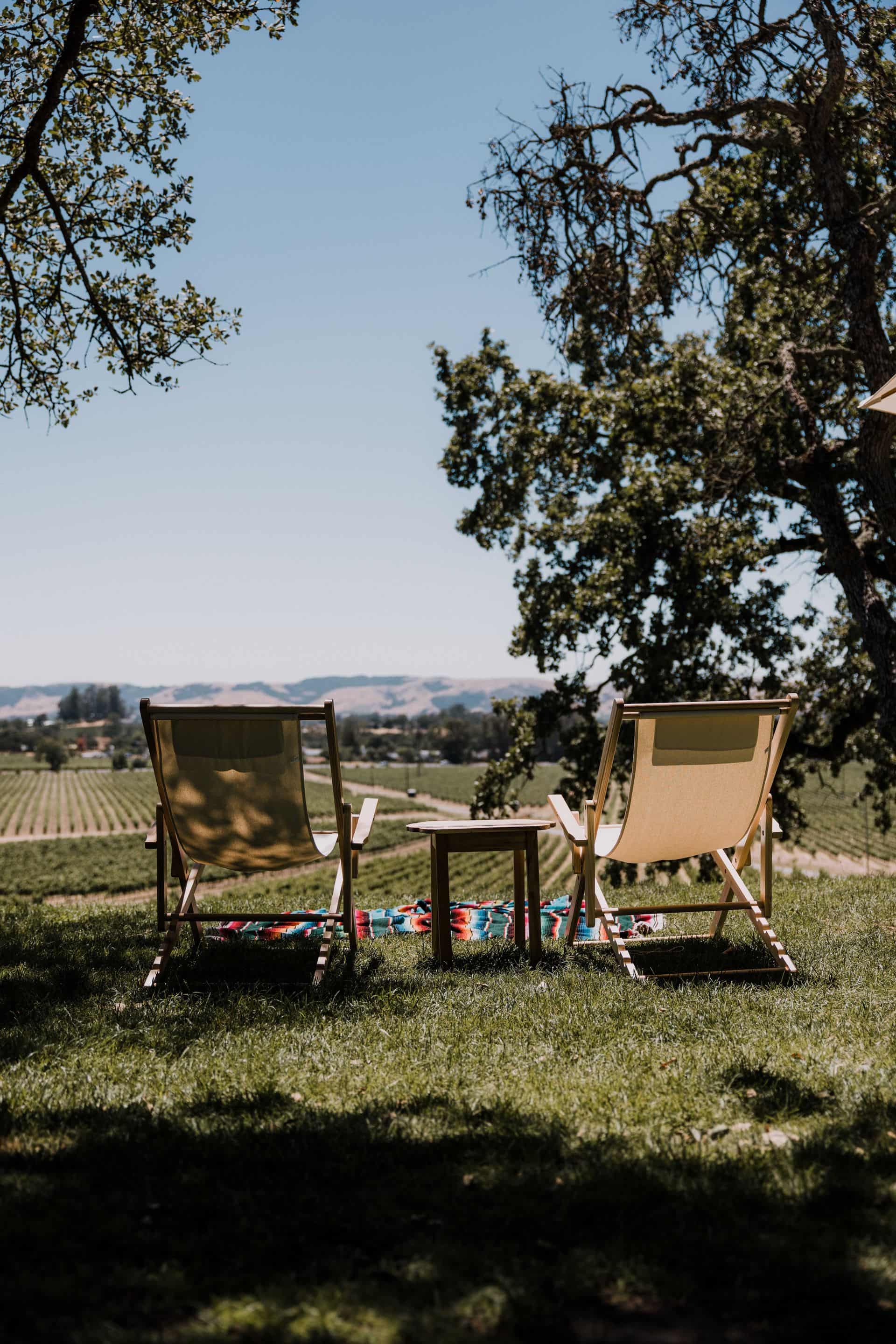 Picnic in the vineyards