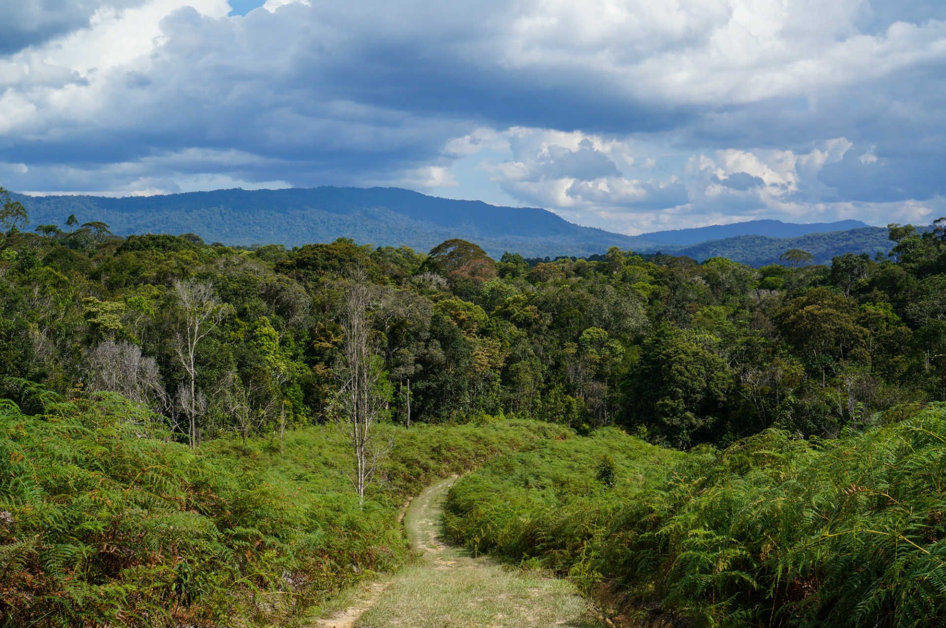 Kelabit Highlands Borneo © Shutterstock