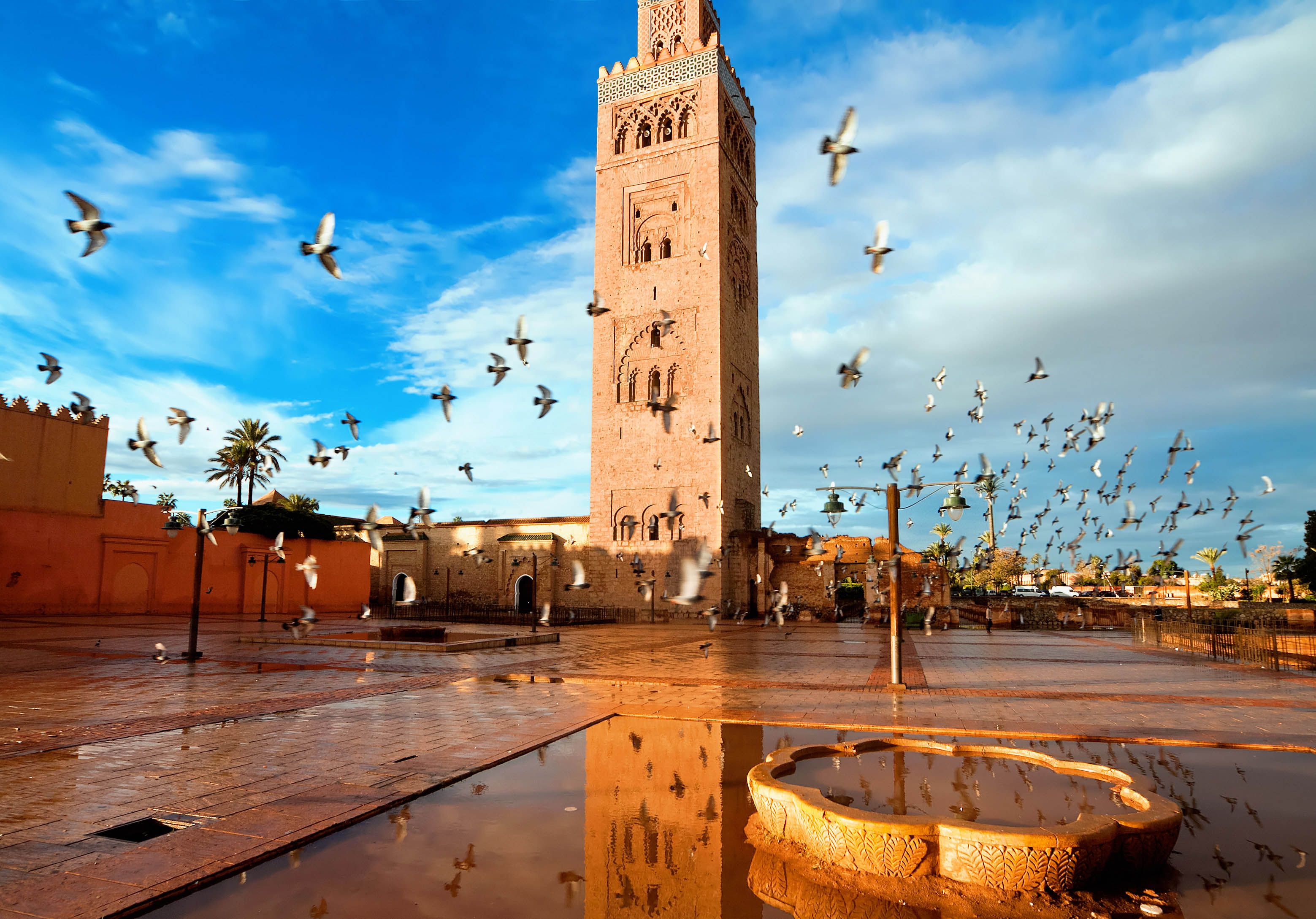 28 Best Things To Do In Morocco Places To See Rough Guides 28 Best Things To Do In Morocco Places To See Rough Guides