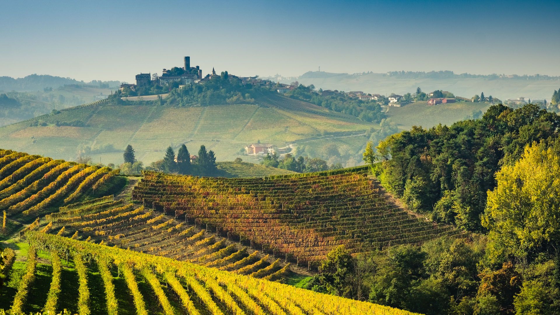 Langhe vineyards in Piedmont, Italy © Giorgio1978/Shutterstock