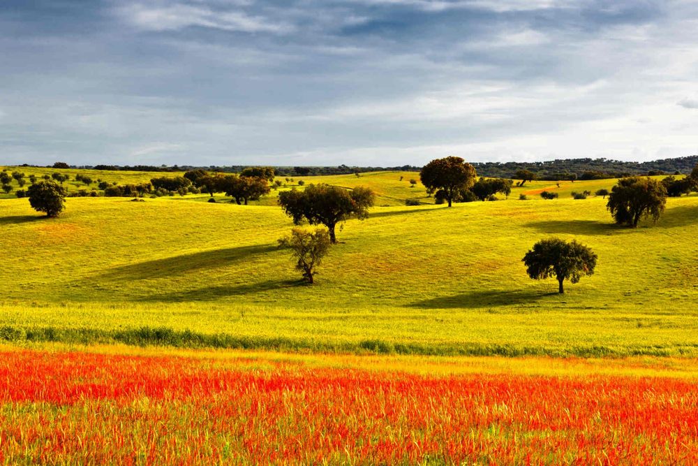 alentejo-portugal-shutterstock_105769898