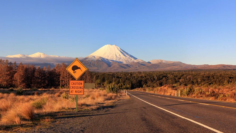 kiwi-road-ngauruhoe-tongariro-new-zealand-shutterstock_1401414941