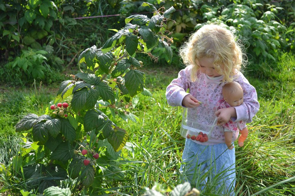 Best Things to do in England with Kids | Rough Guides