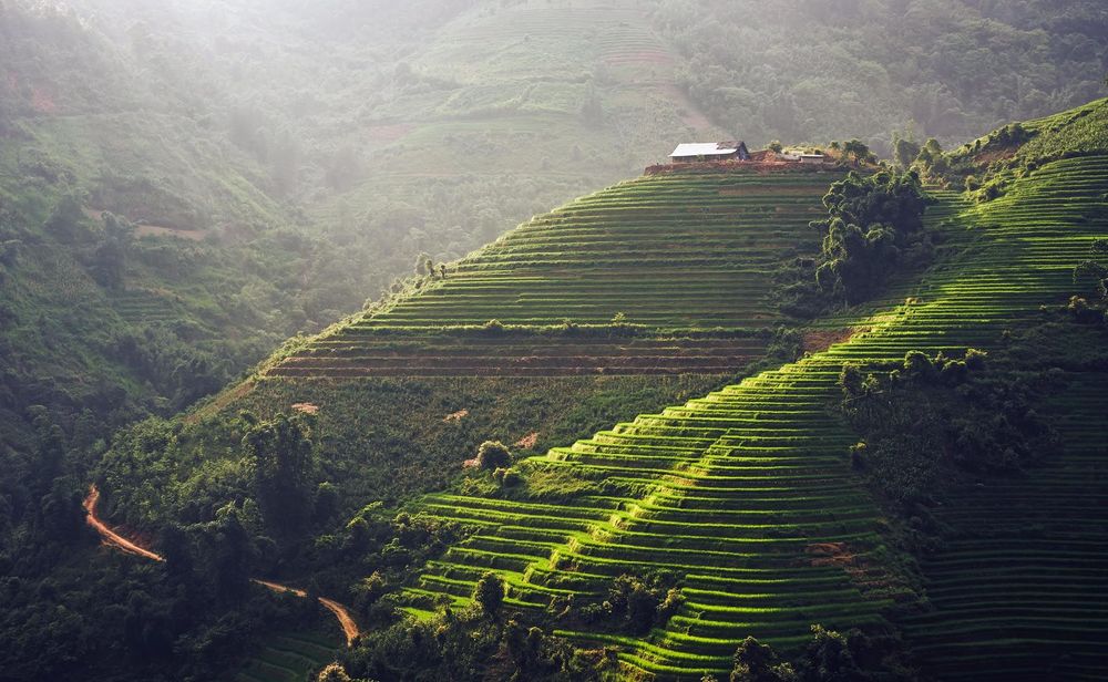 sapa-vietnam-shutterstock_479423002