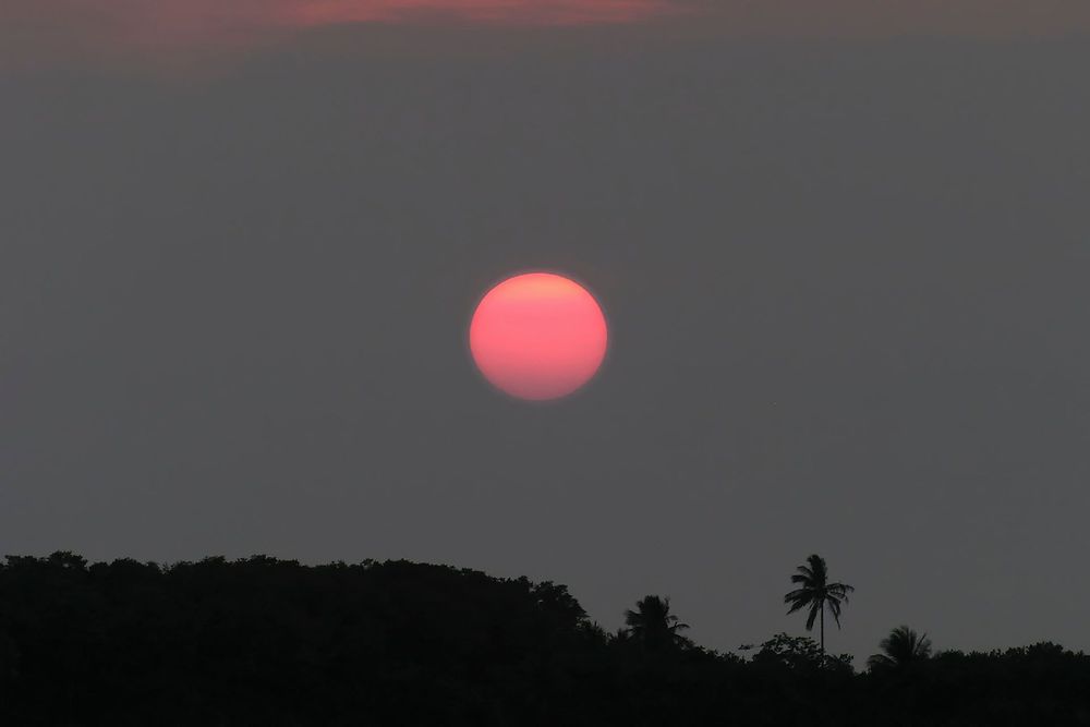 Tabasco, Mexico Ultimate Travel Guide Rough Guides