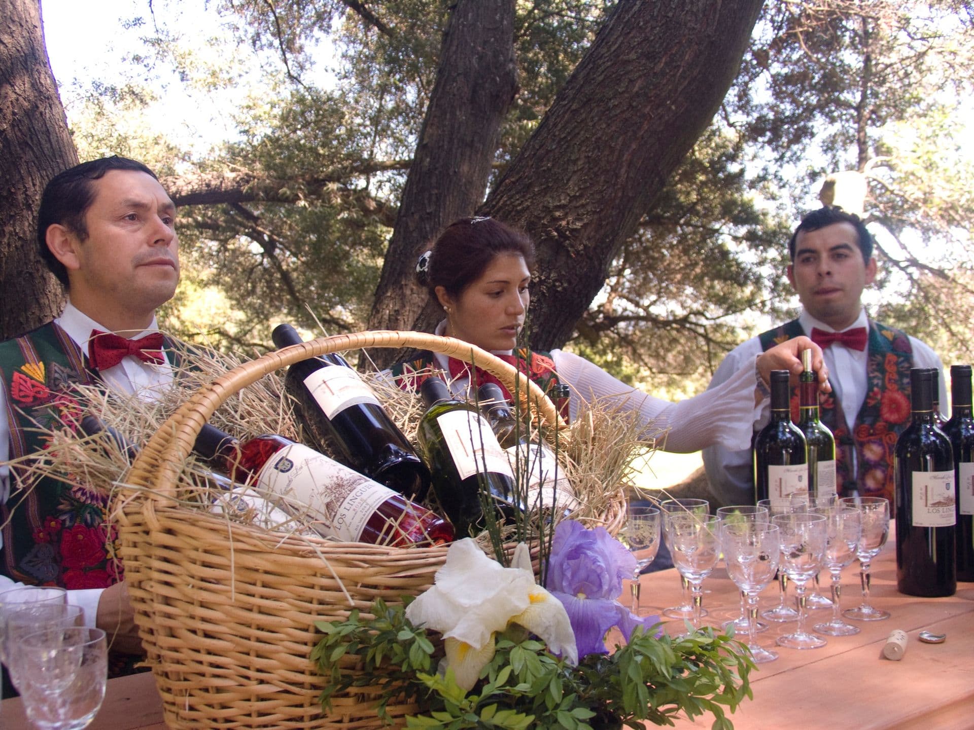 South America, Chile, Maipo Valley, Undurraga Winery, Historic House tour