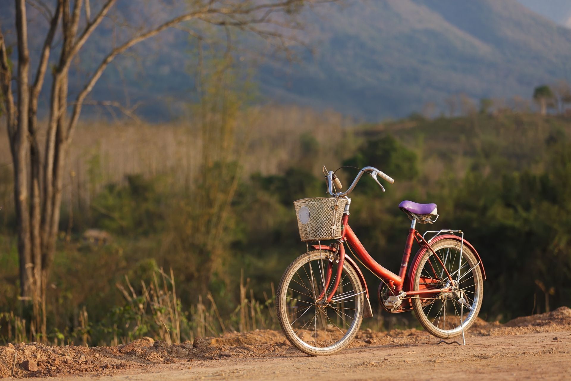 bicycle tourism in wild tropical landscape, Laos