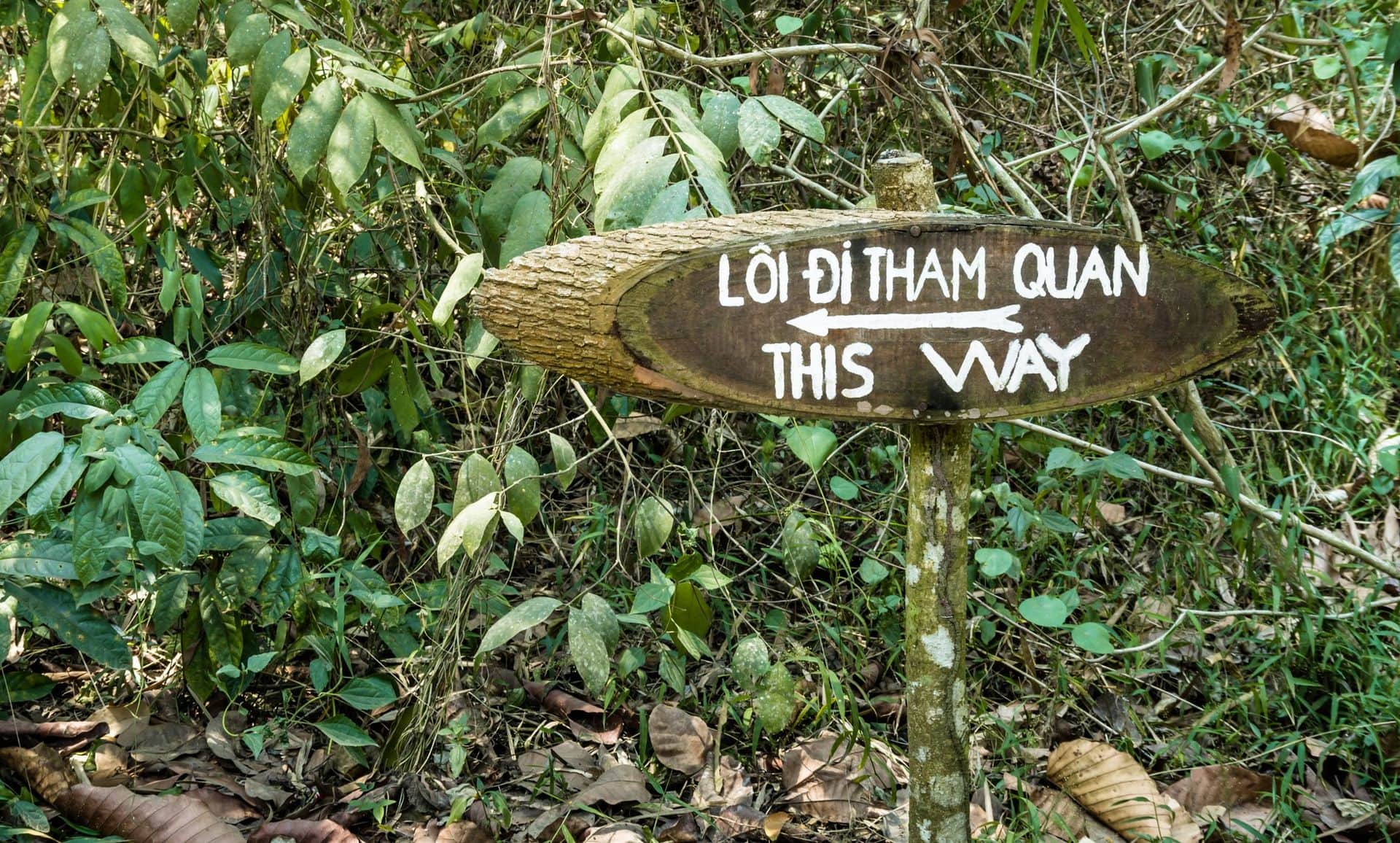 Way Out - Sign in the Forest