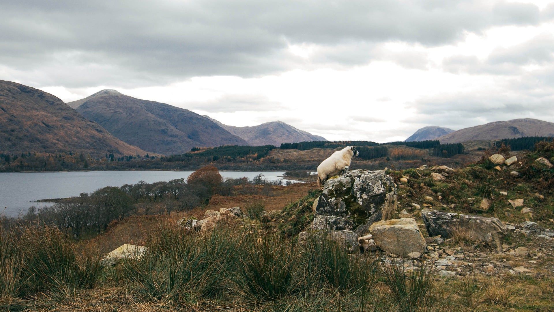 Loch Awe