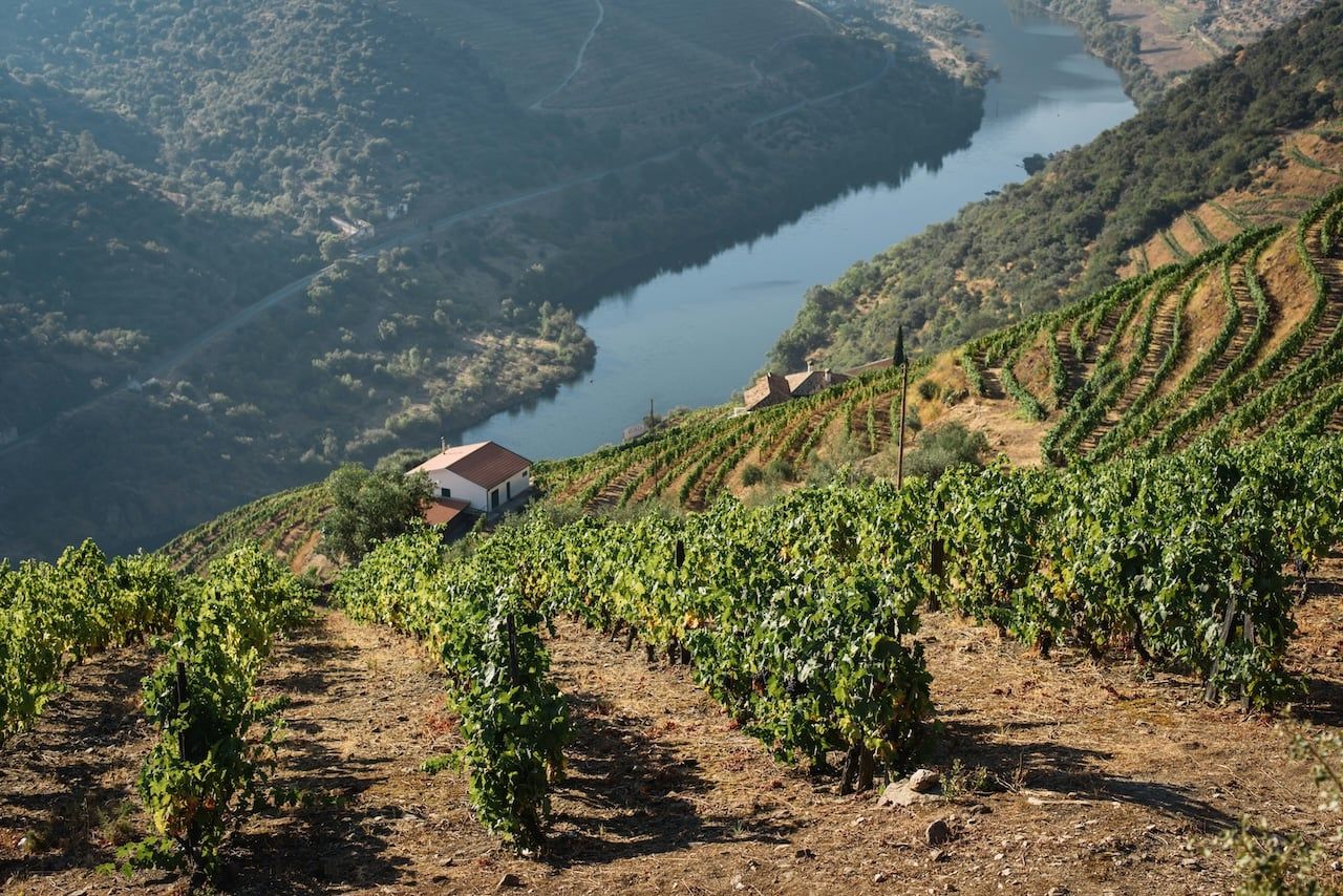Douro Valley, Portugal