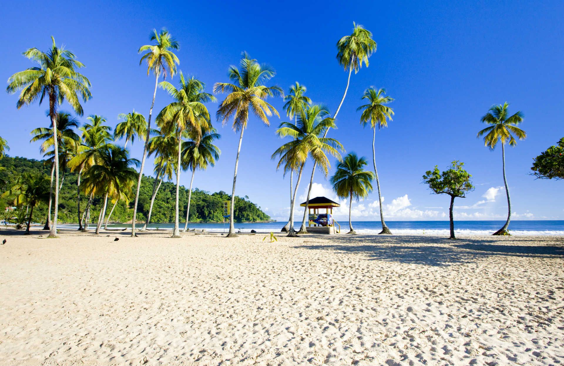 Best Time To Visit Trinidad Tobago Best Time Of Year For Travelling 