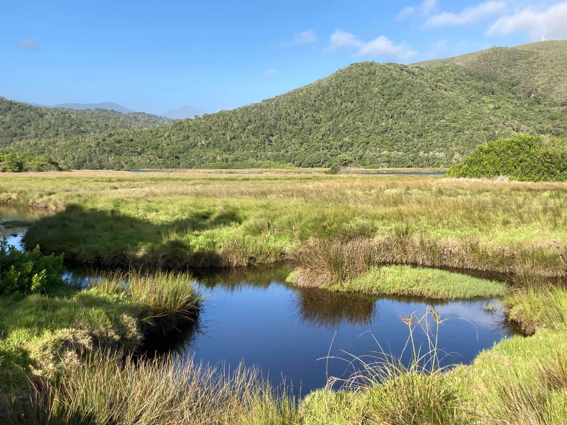 Nature around Plettenberg Bay