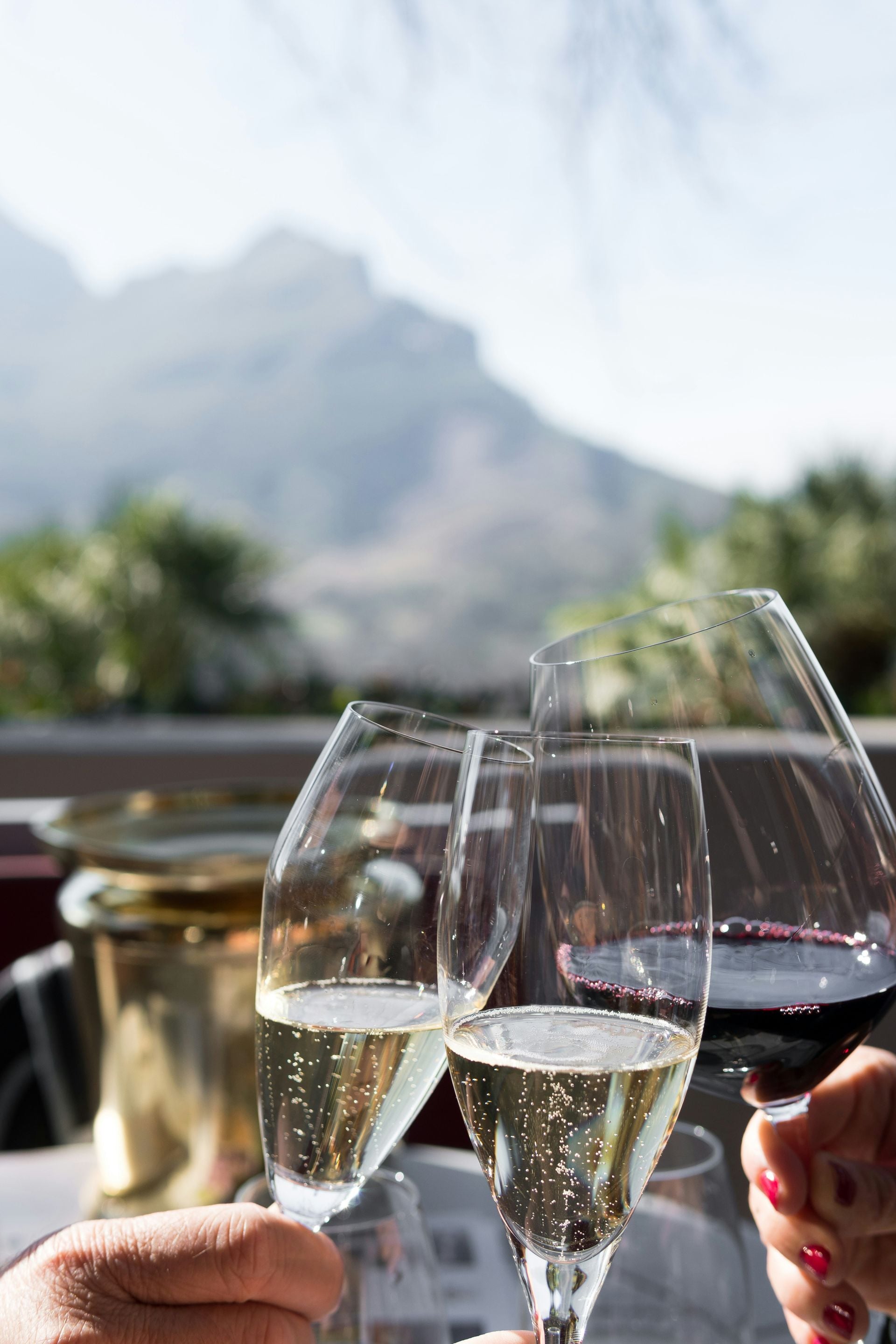 Private Half-Day Boutique Winelands Tour