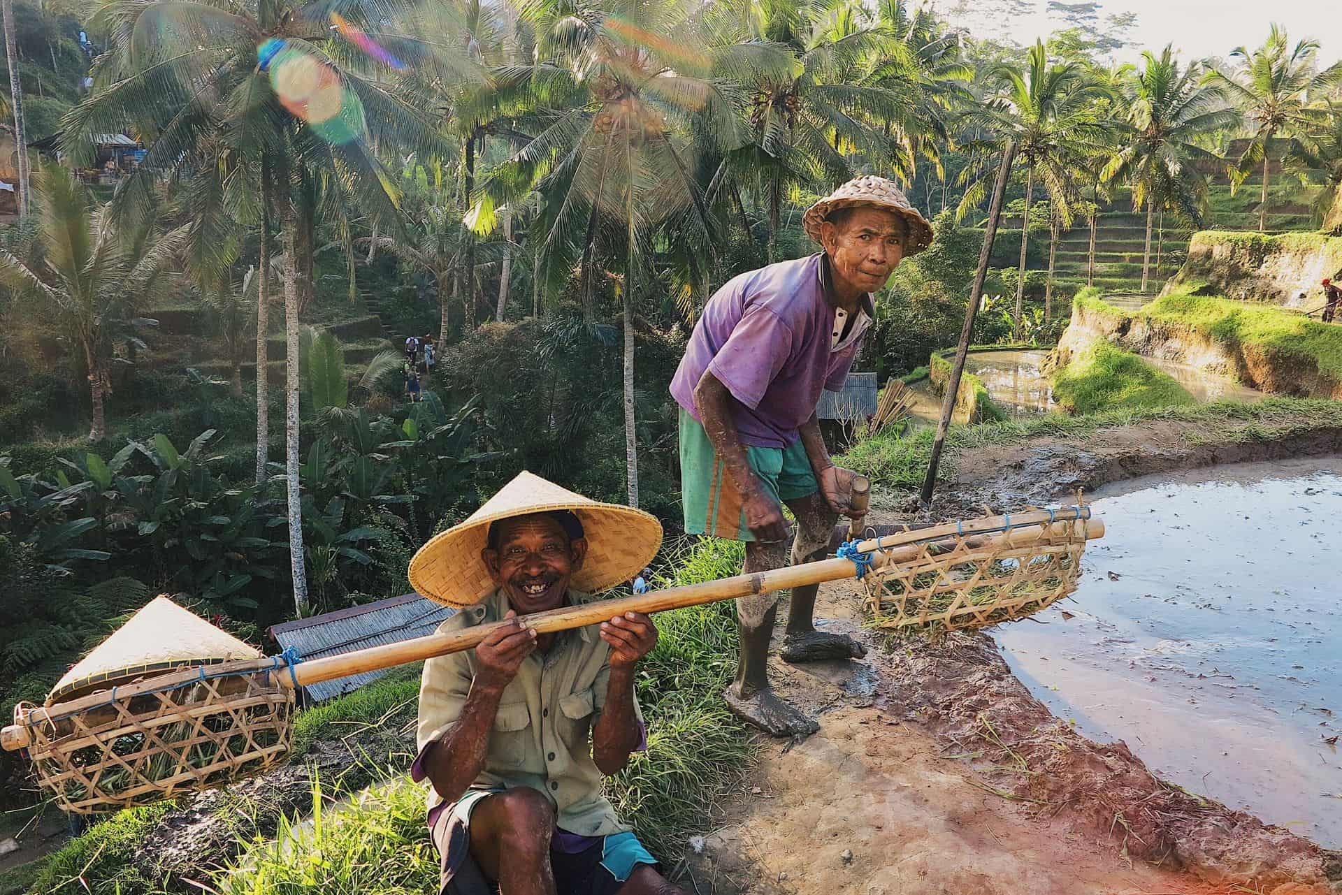 Ubud workers