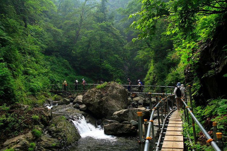 world-natural-heritage