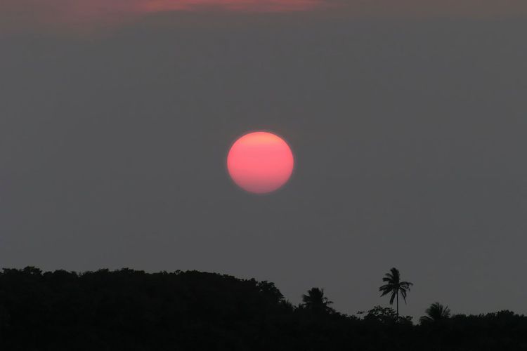 Tabasco, Mexico Ultimate Travel Guide Rough Guides