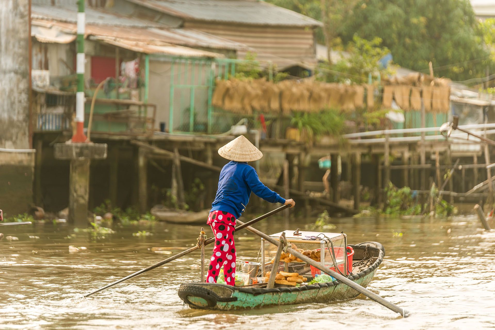 Mekong Delta in Vietnam © Shutterstock