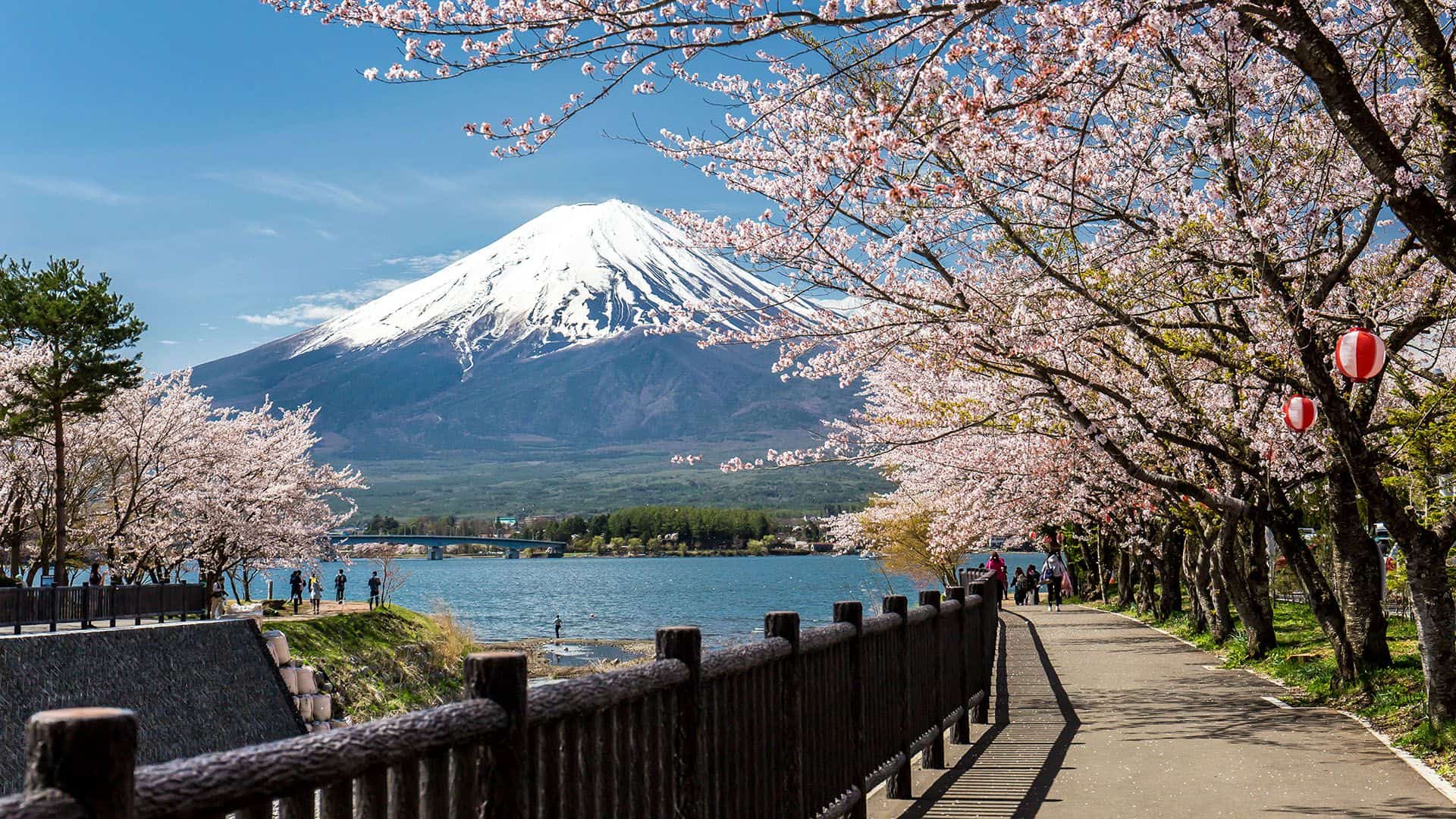 Mount Fuji in Japan © Aeypix/Shutterstock