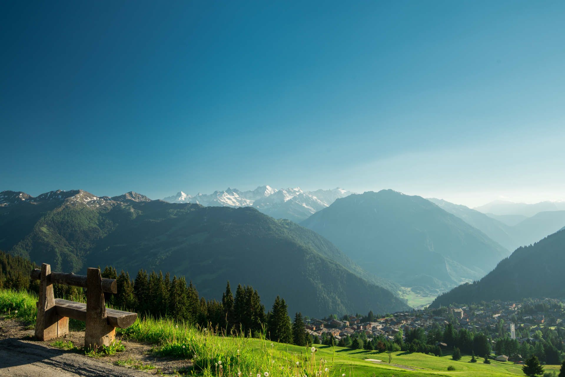 mountains-verbier-green-forest-landscape-switzerland-shutterstock_662026168