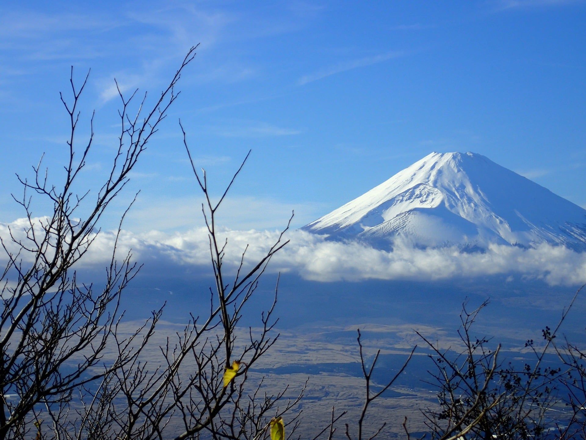 Views over Mt Fuji