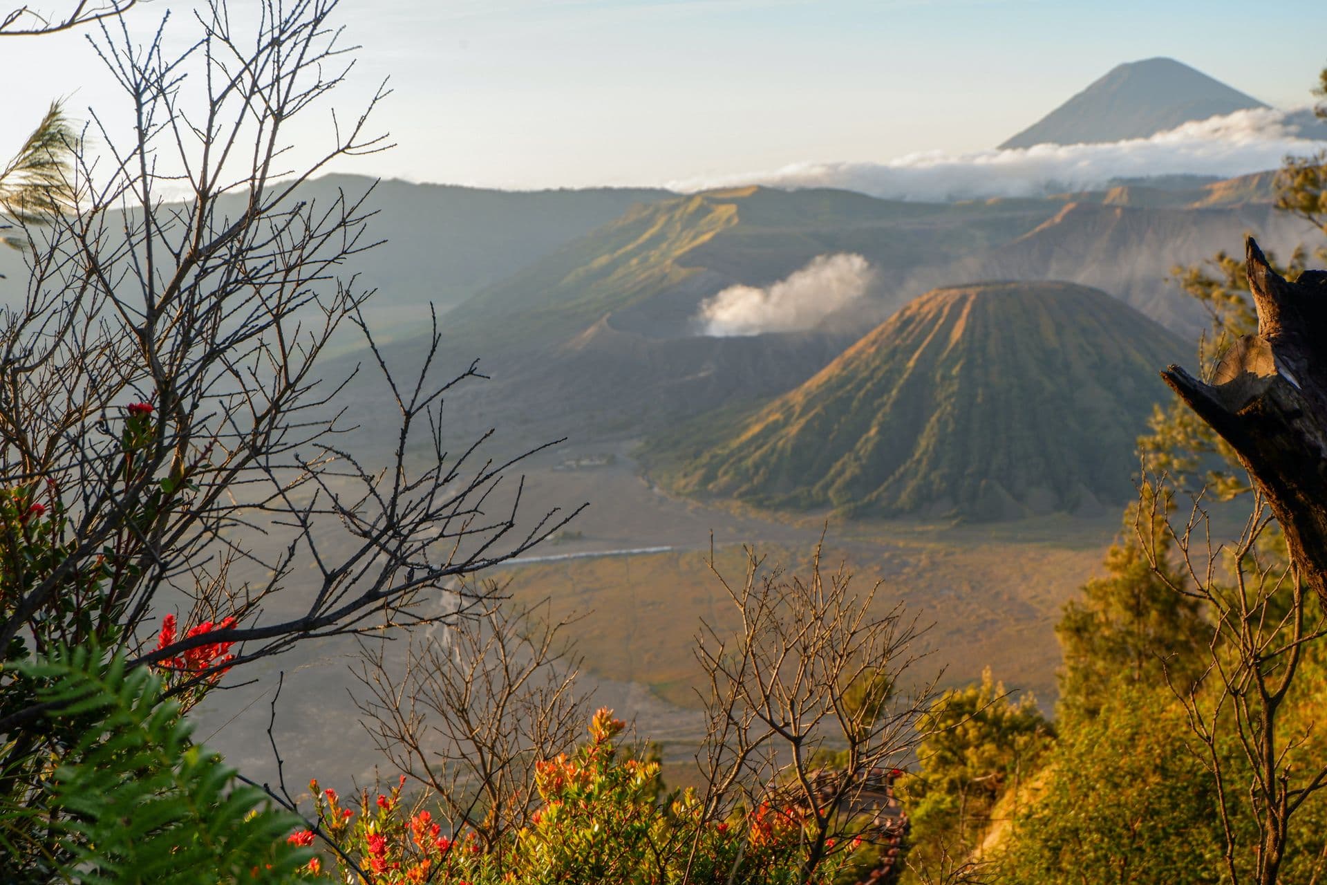 Scenery Bromo