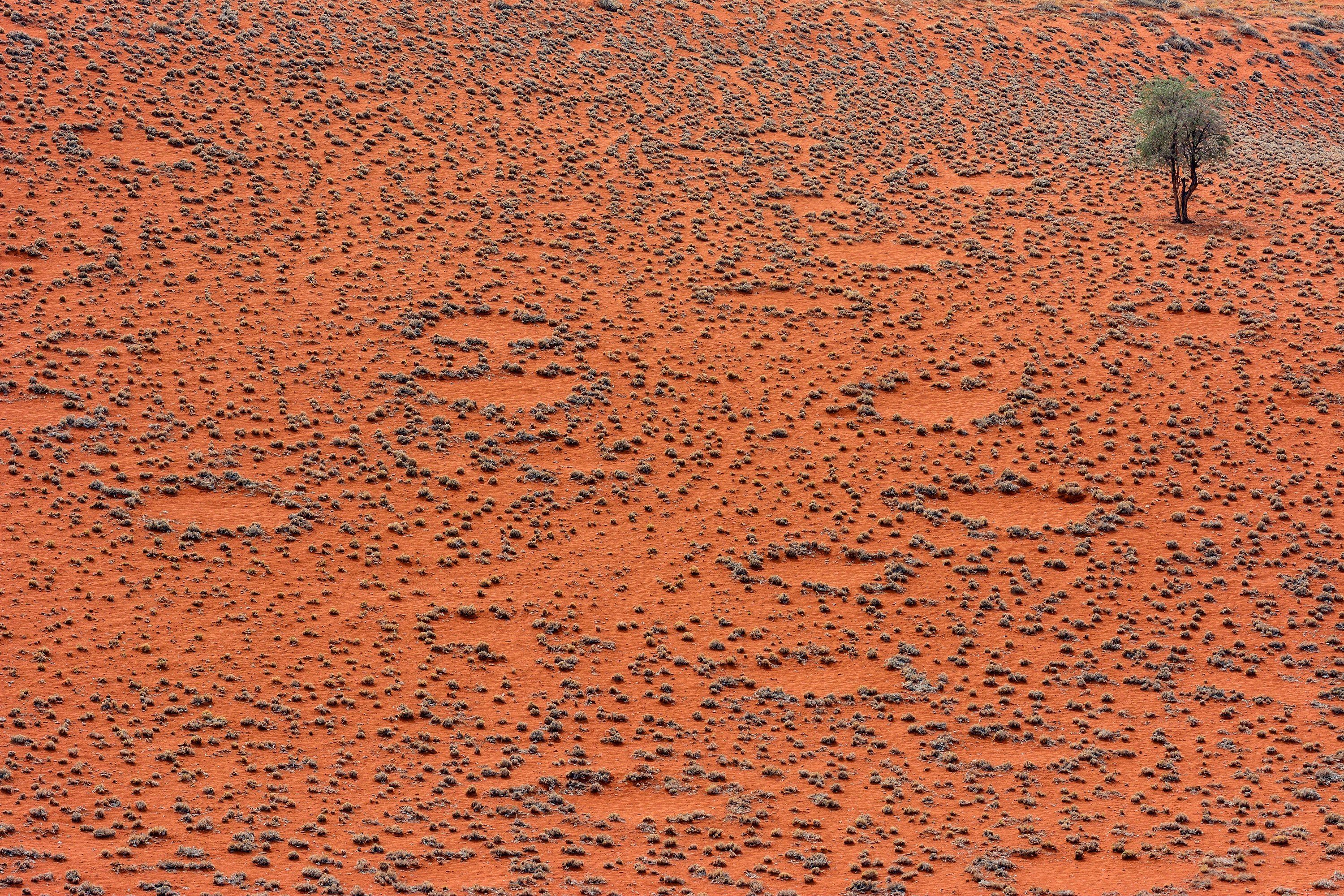 "Fairy Circles" in Namibia