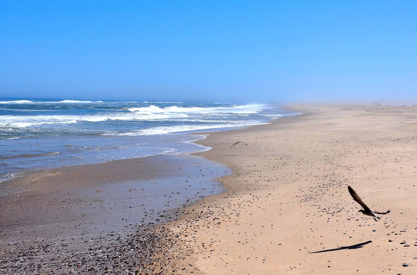 Skeleton coast © Shutterstock