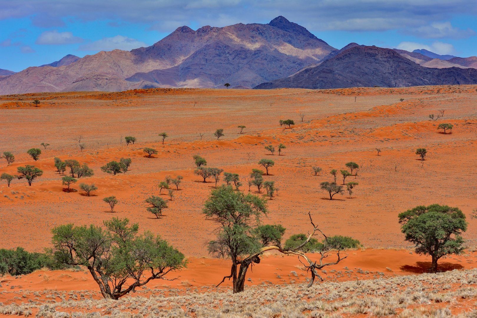 NamibRand Nature Reserve