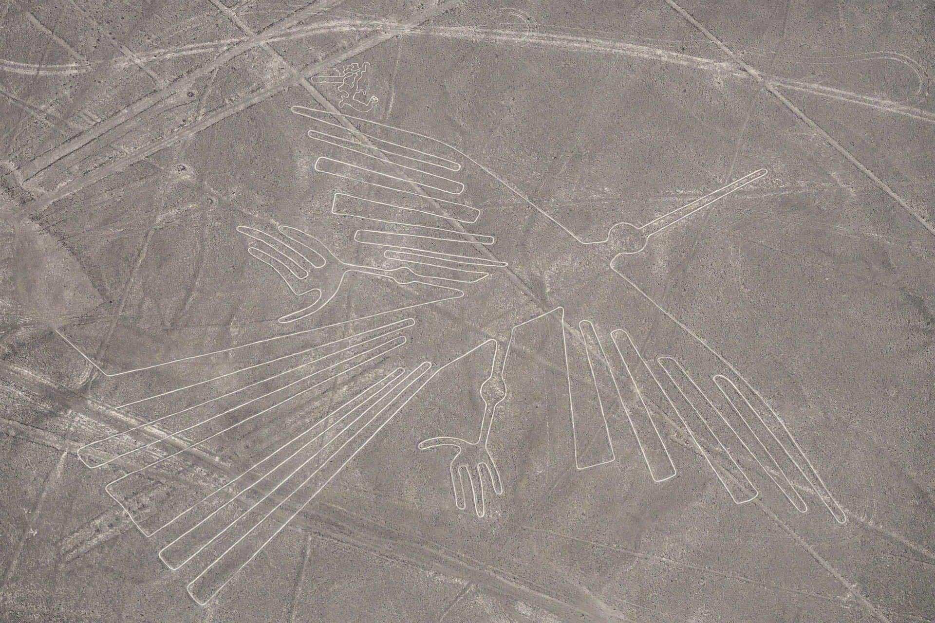 The fascinating etchings of the Nasca Lines