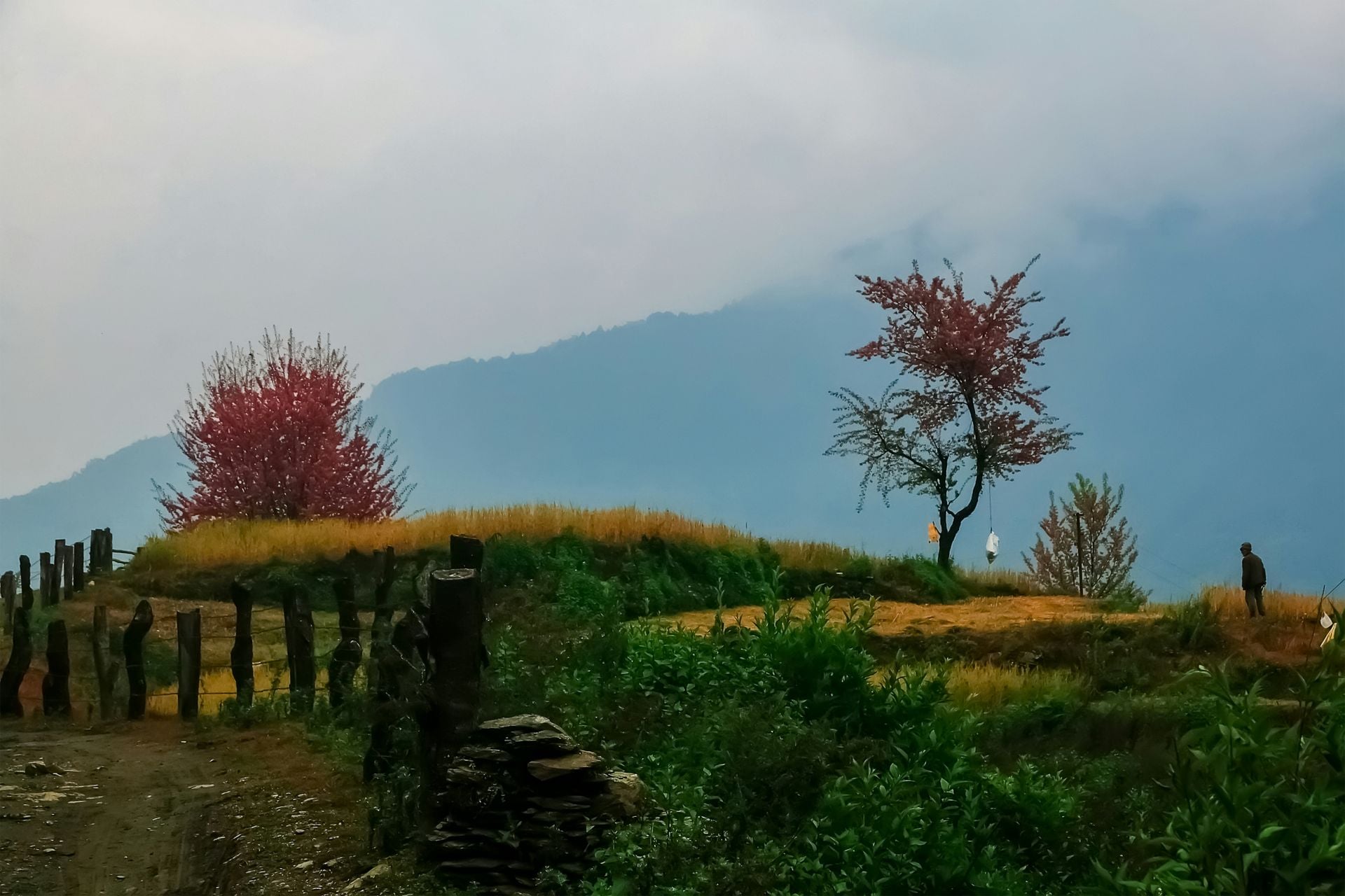 View from a Pothana Village