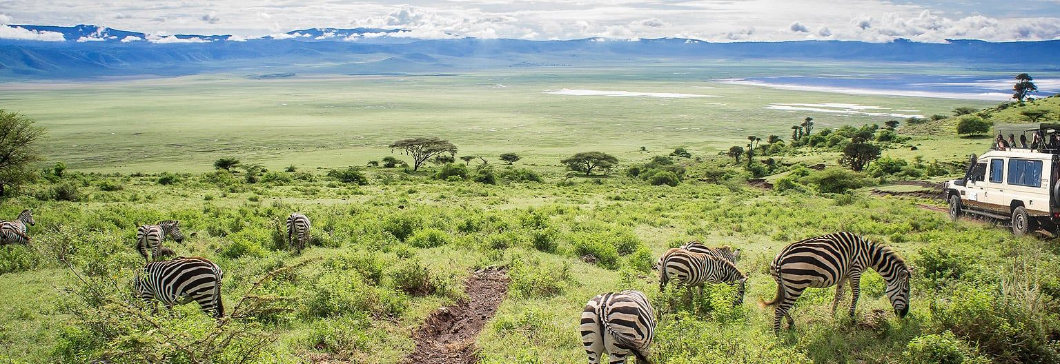 Ngorongoro Crater