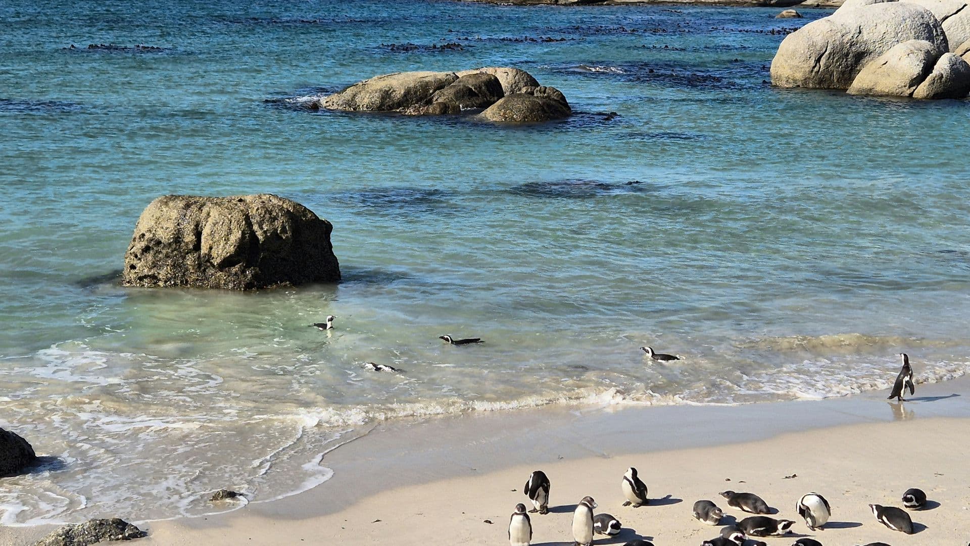 Boulders Beach
