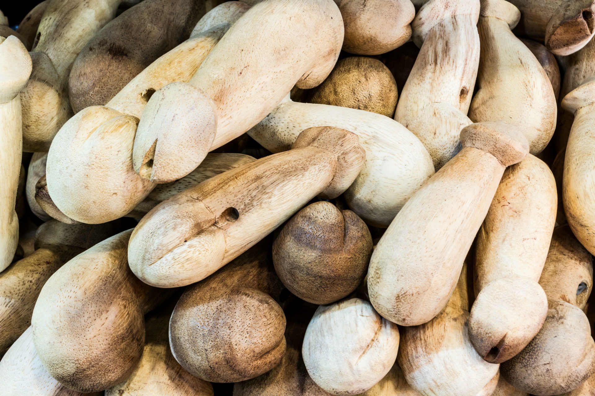 penis-wood-shutterstock_168527777