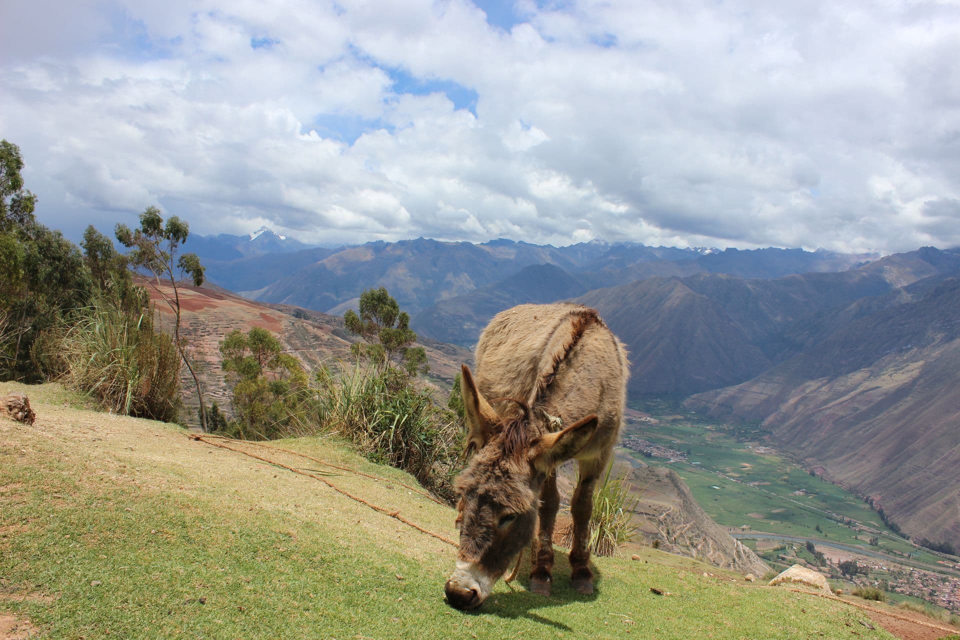 the Sacred Valley