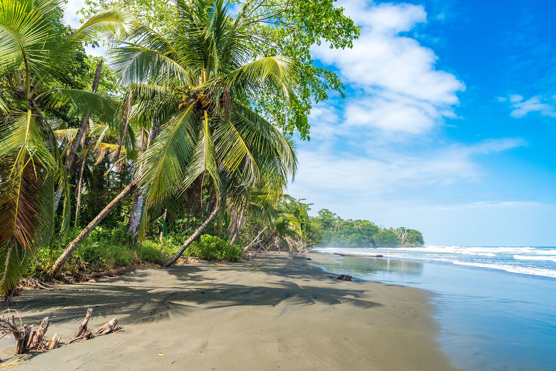 Playa Negra - black beach at Cahuita, Limon - Costa Rica © Shutterstock