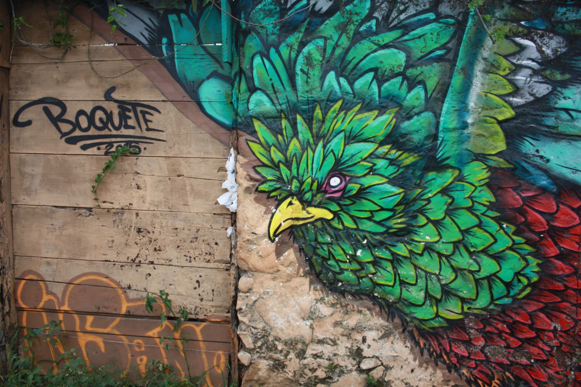 Quetzal Graffiti