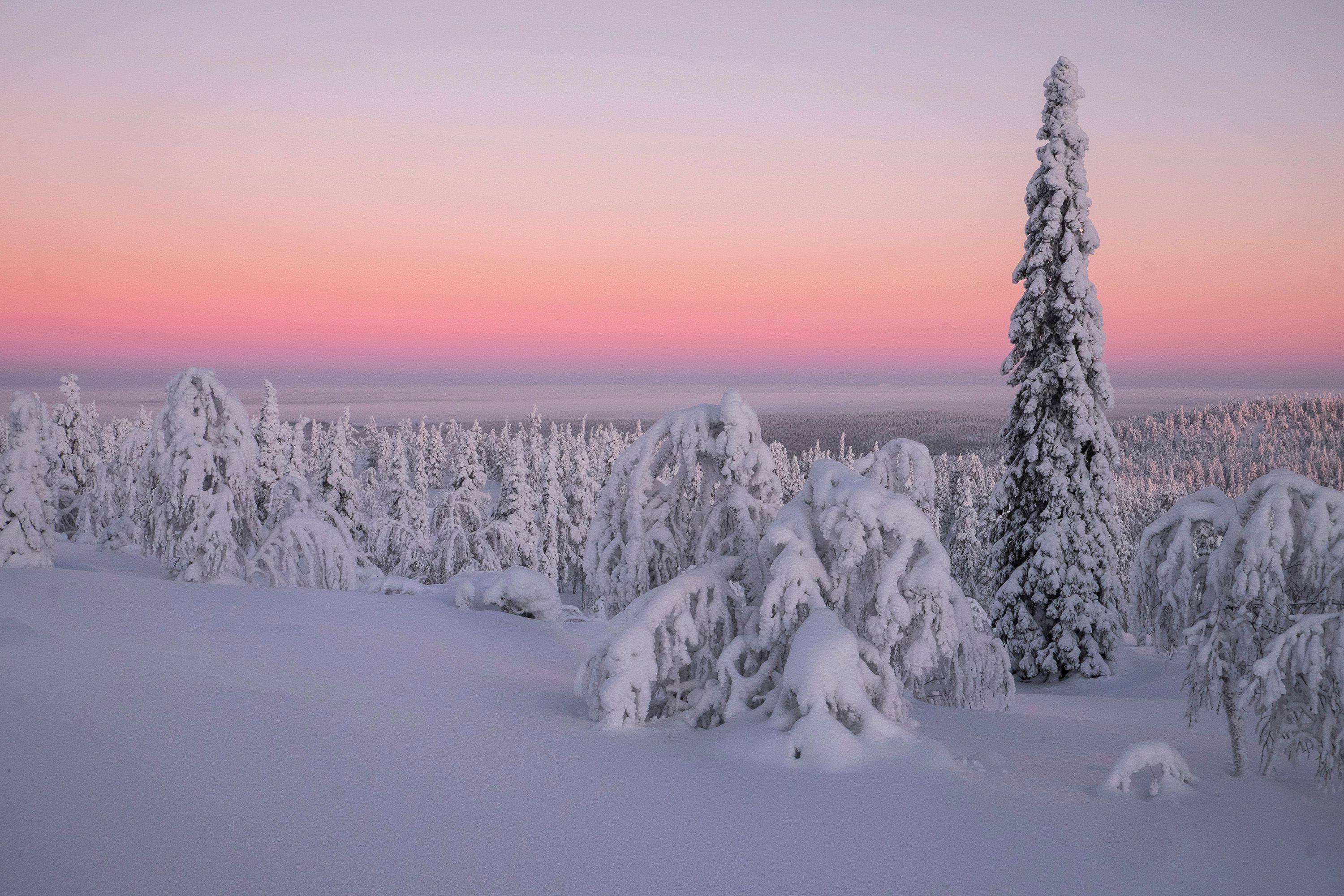 Finland in snow, by Tim Bird