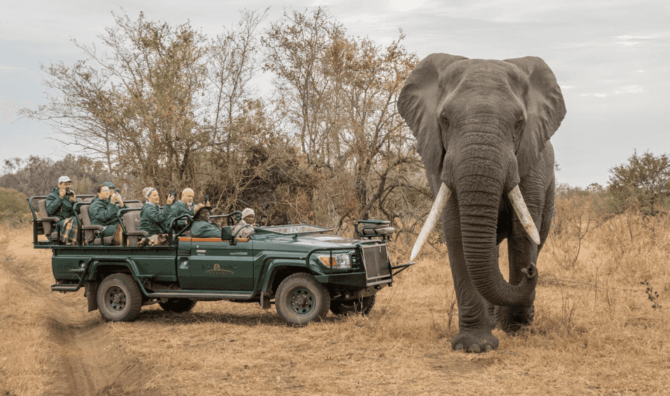 Karongwe River Lodge Activities