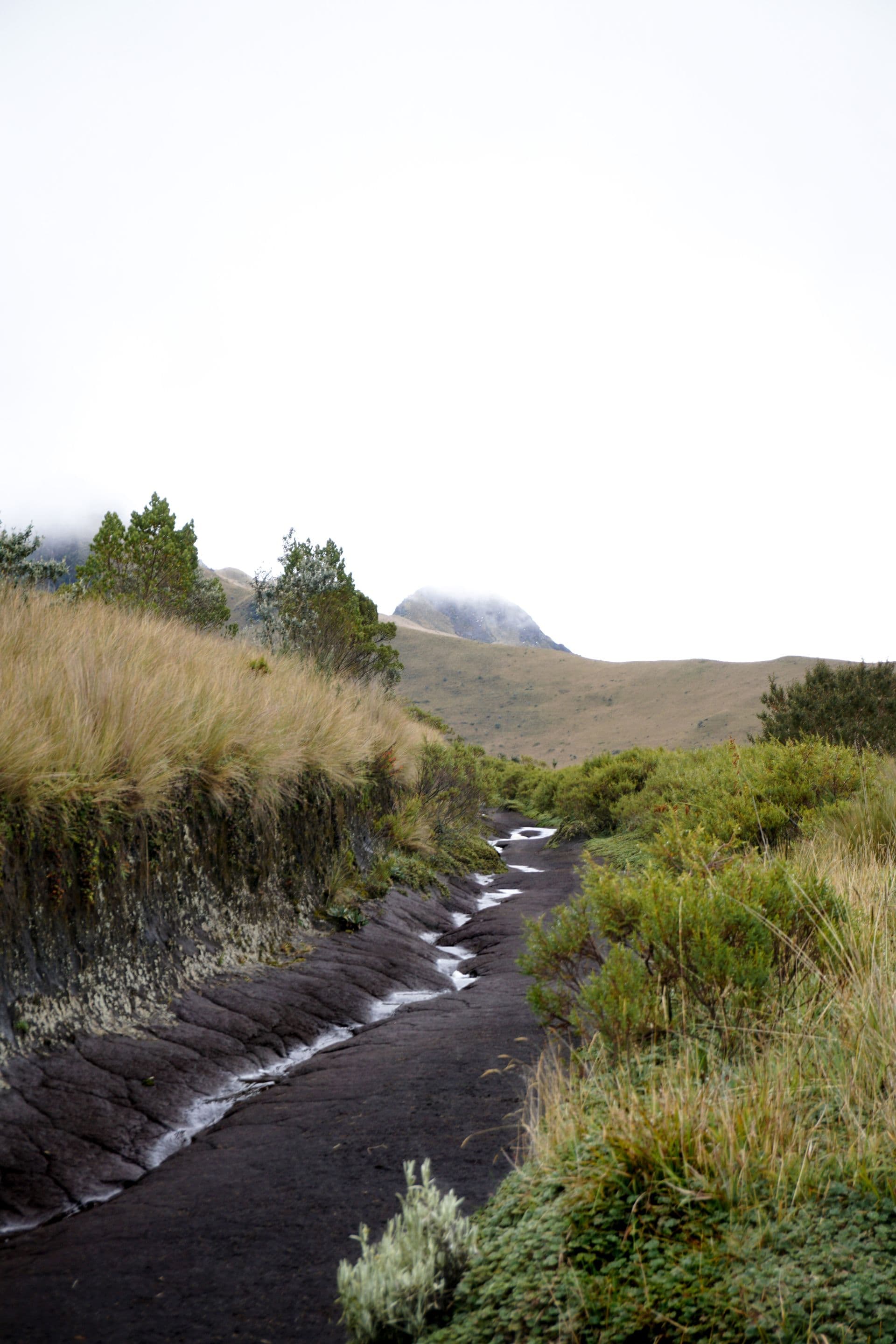 Ecuador hike