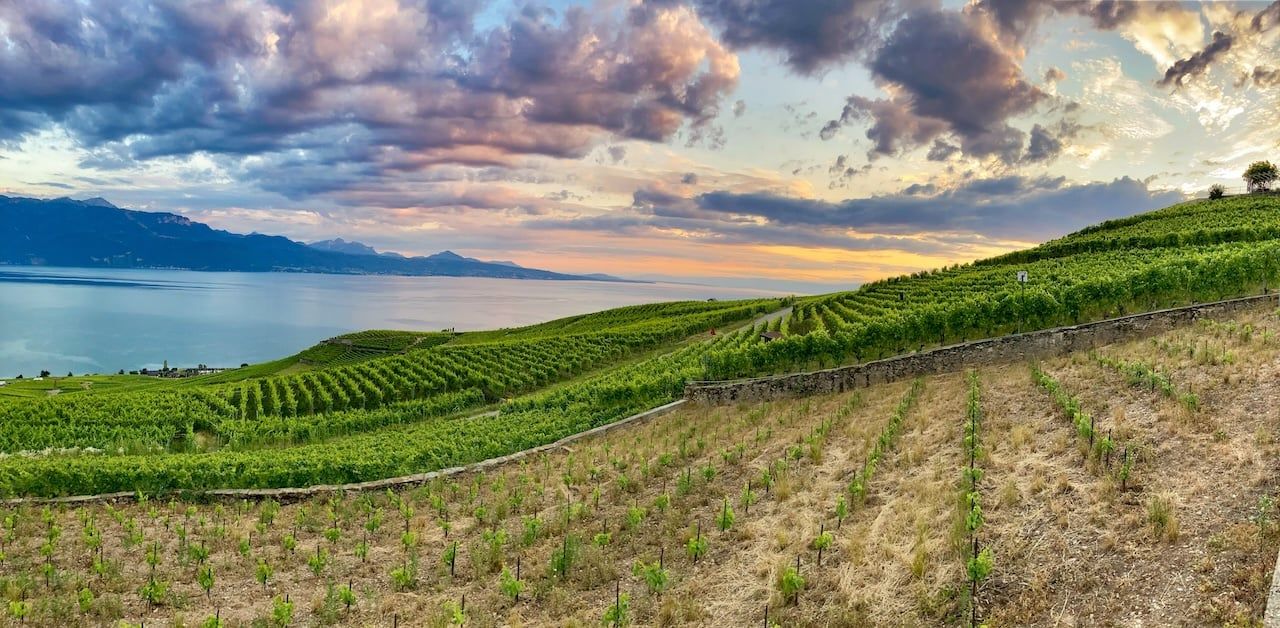 Lavaux, Switzerland