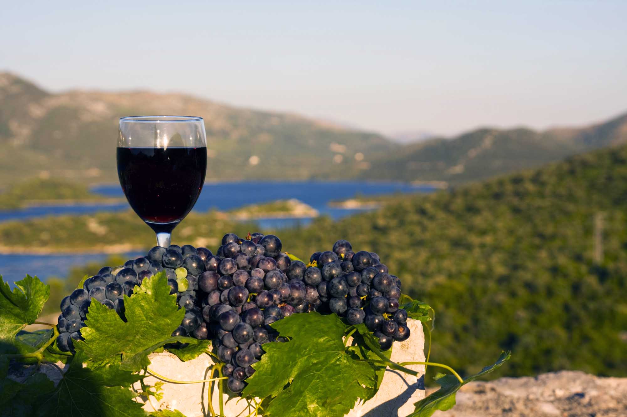 Dalmatian wine