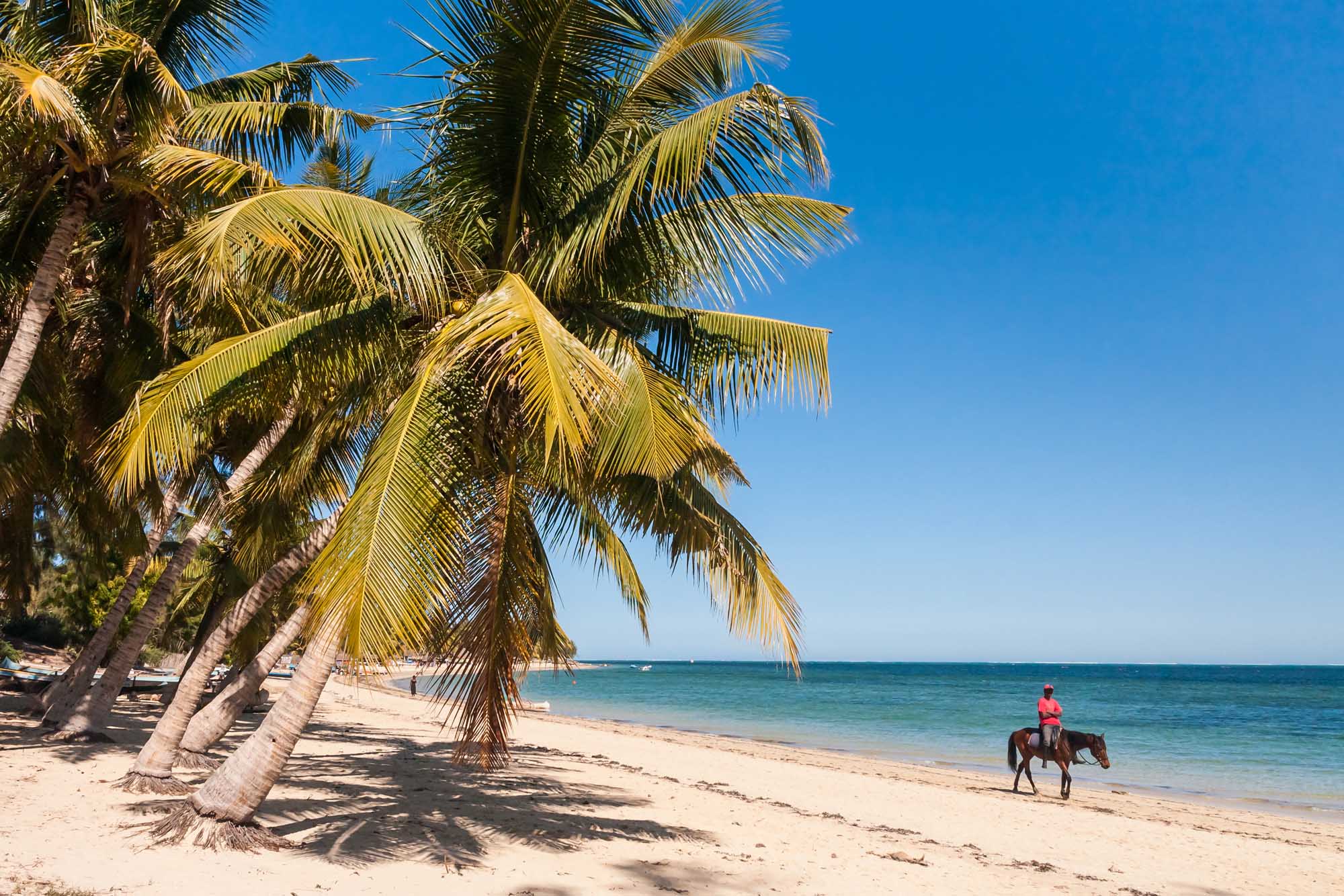 Jumper on the beach of Ifaty, southwestern Madagascar