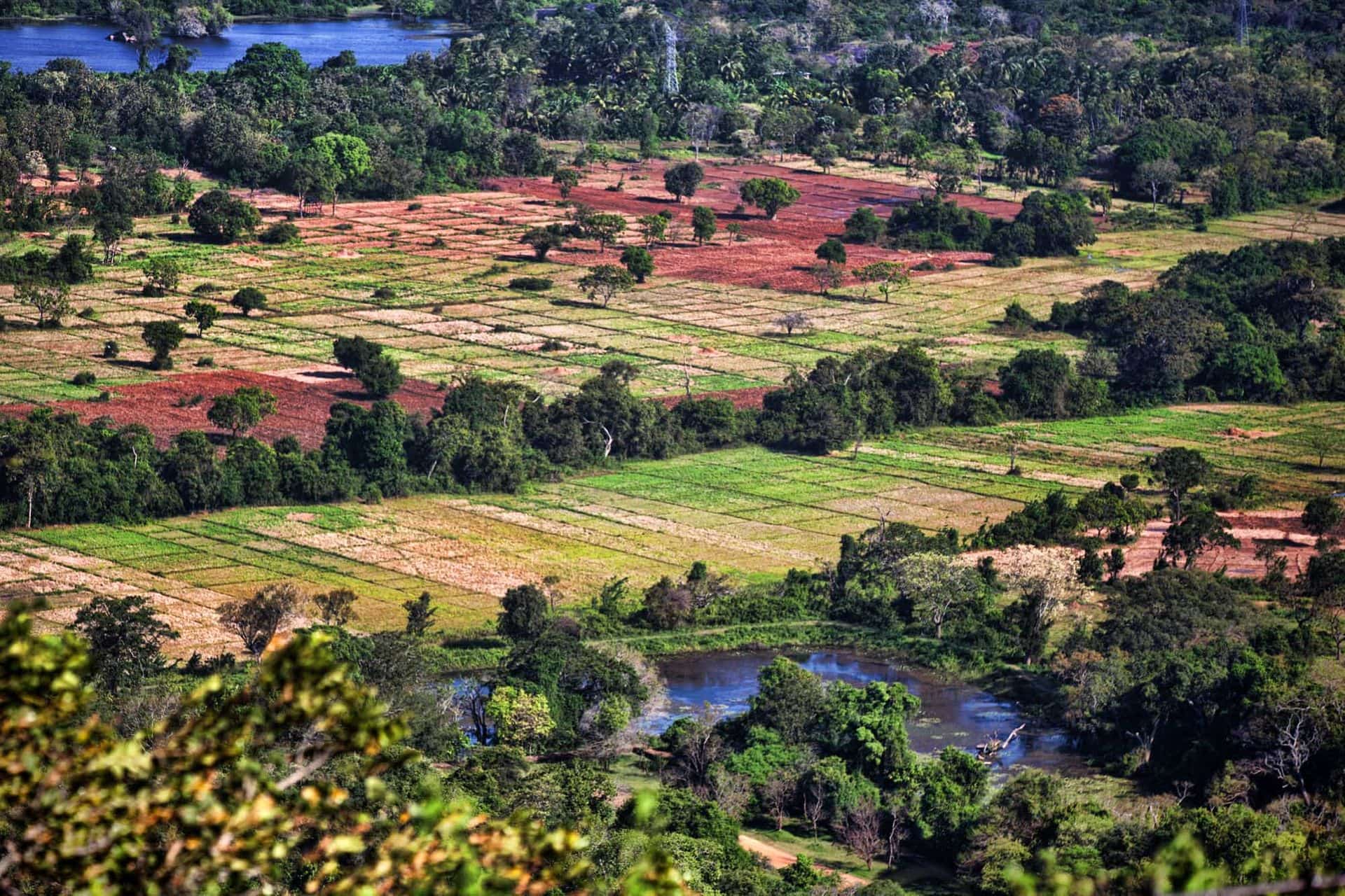 Sigiriya is an ancient rock fortress located in the northern Matale District near the town of Dambulla in the Central Province, Sri Lanka