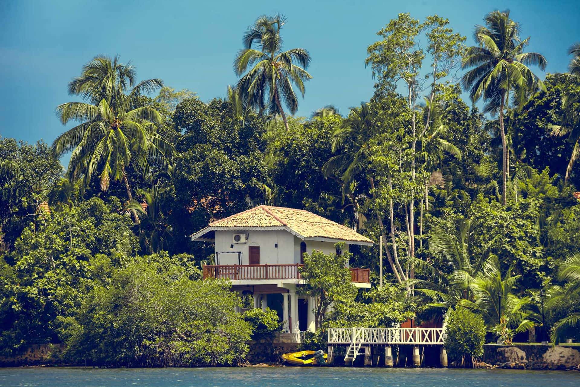 A traditional white building surrounded by the spectacular tropical forest next to the Madu Ganga, Balapitiya in south-western Sri Lanka.
